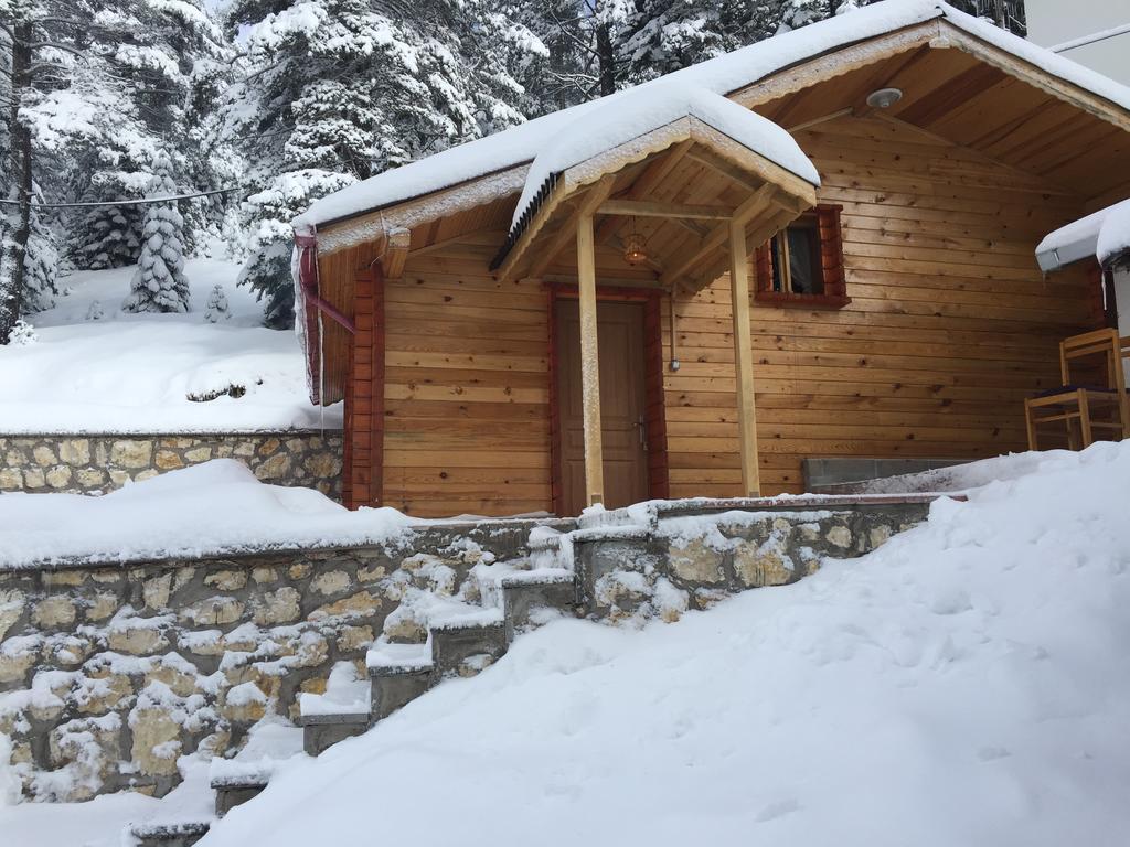 Ilgaz Derbent Hotel Δωμάτιο φωτογραφία